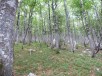 Sjeverni Velebit 023